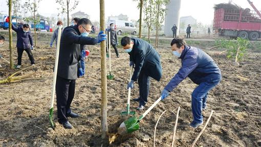 市自然资源和规划局组织开展义务植树活动